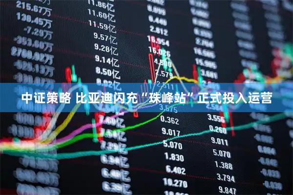 中证策略 比亚迪闪充“珠峰站”正式投入运营