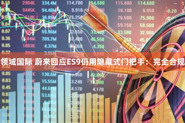 领域国际 蔚来回应ES9仍用隐藏式门把手：完全合规