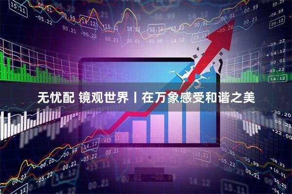 无忧配 镜观世界丨在万象感受和谐之美