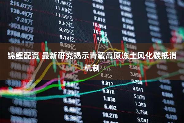 锦鲤配资 最新研究揭示青藏高原冻土风化碳抵消机制