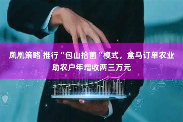 凤凰策略 推行“包山拾菌“模式，盒马订单农业助农户年增收两三万元