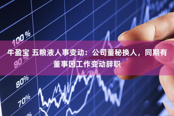 牛盈宝 五粮液人事变动：公司董秘换人，同期有董事因工作变动辞职